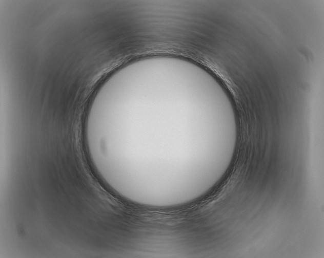 X0000114200681200910091049