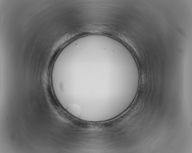 X0000114200682200910091049