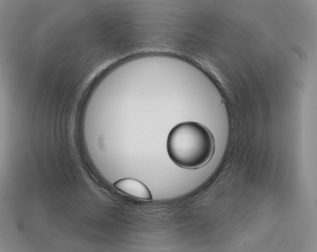 X0000114200684200910091049