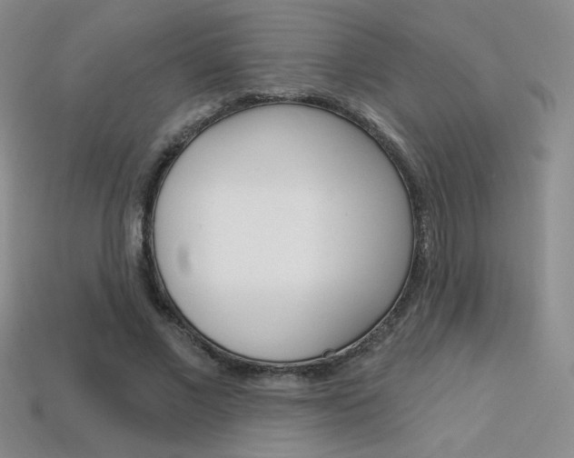 X0000114200685200910091049