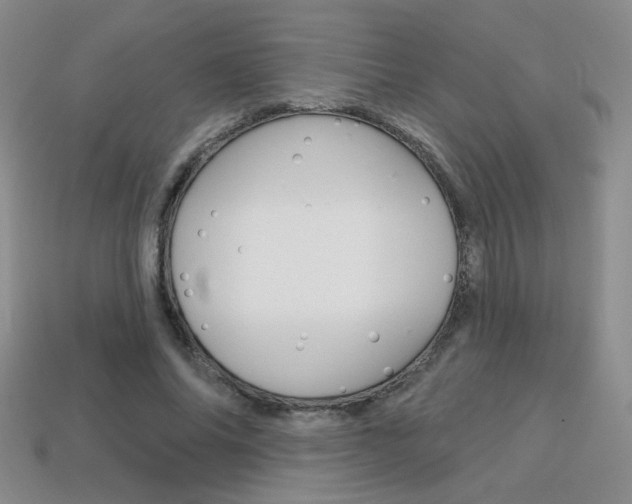 X0000114200686200910091049