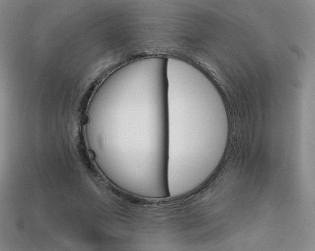 X0000114200687200910091049