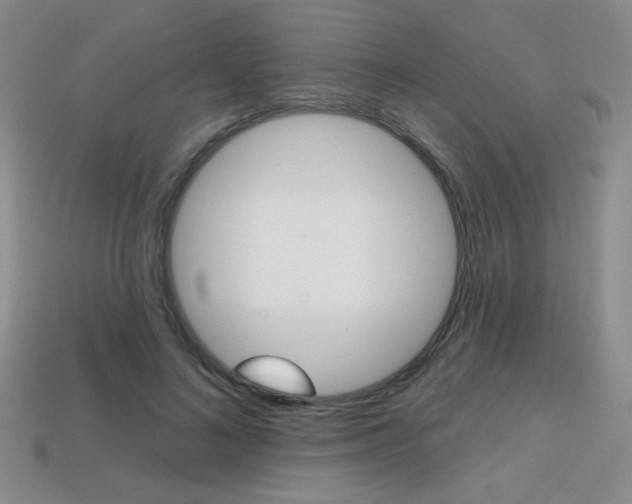 X0000114200692200910091049