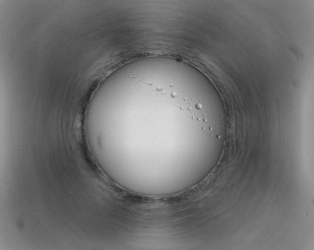 X0000114200696200910091049