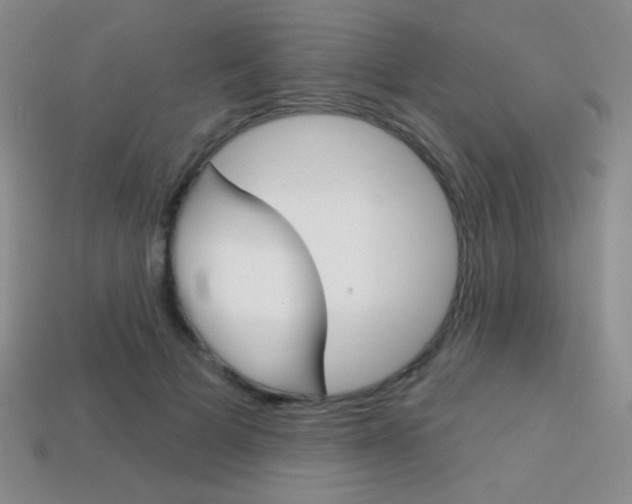 X0000114200697200910091049