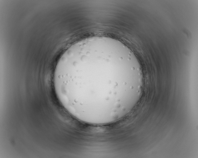 X0000114200698200910091048