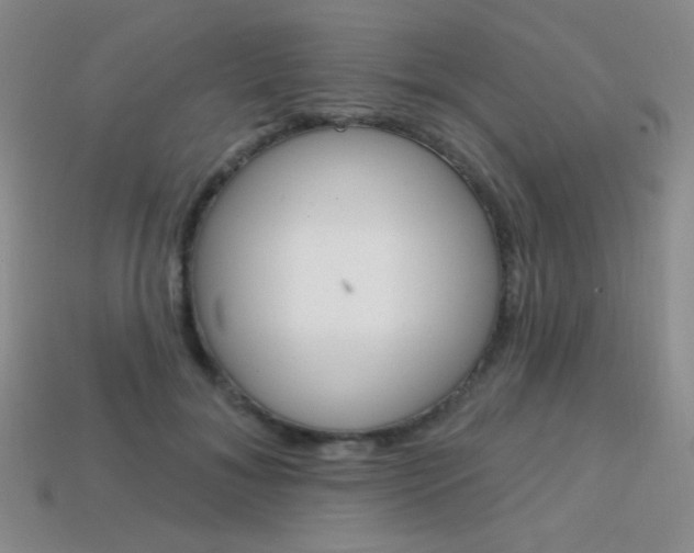 X0000114200700200910091048