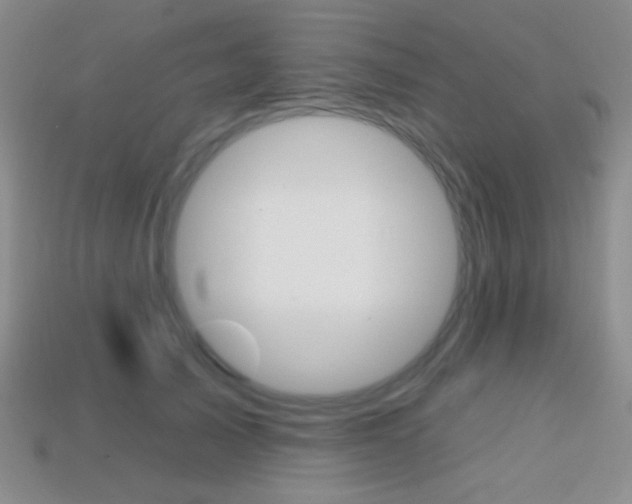 X0000114200705200910091048