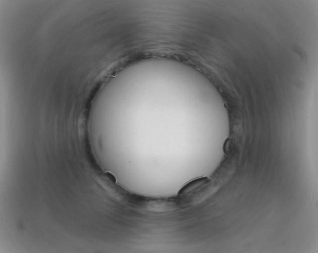 X0000114200708200910091048