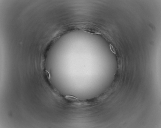 X0000114200712200910091048