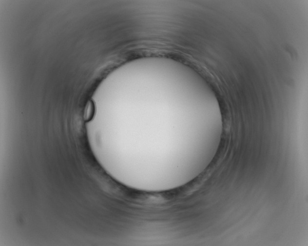 X0000114200715200910091048