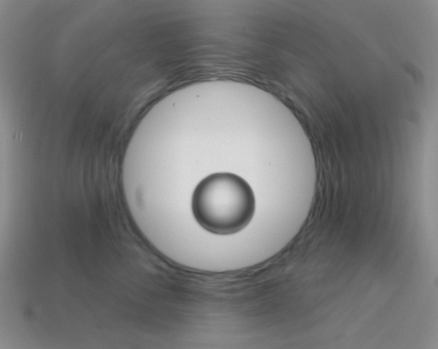 X0000114200716200910091048