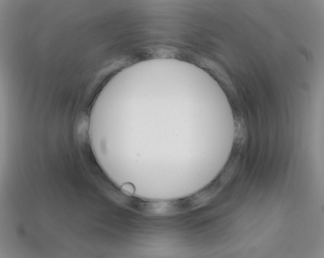X0000114200717200910091048