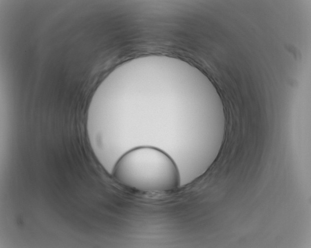 X0000114200720200910091048