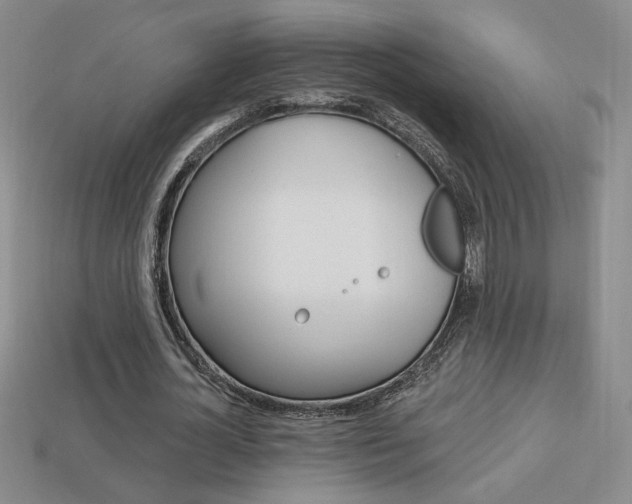 X0000114200724200910091048