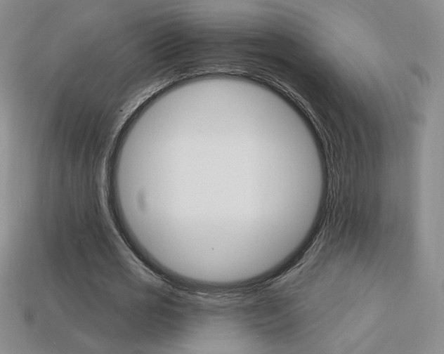 X0000114200725200910091048