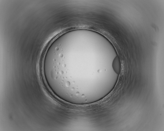 X0000114200726200910091048