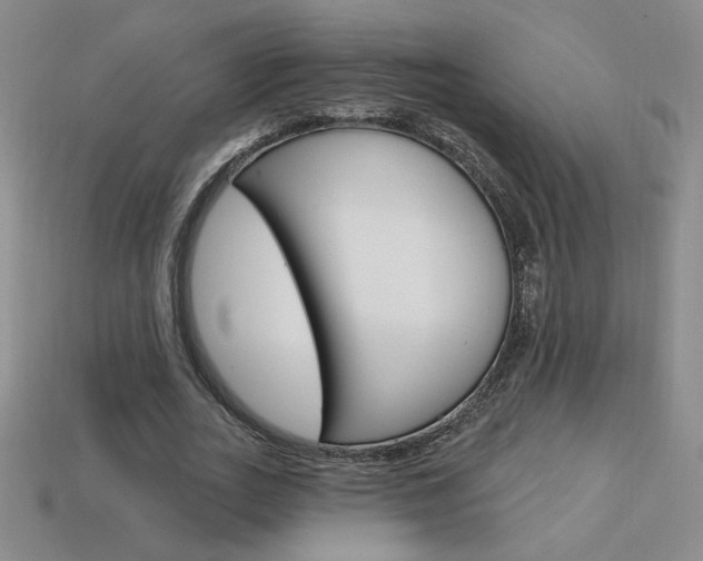 X0000114200727200910091048