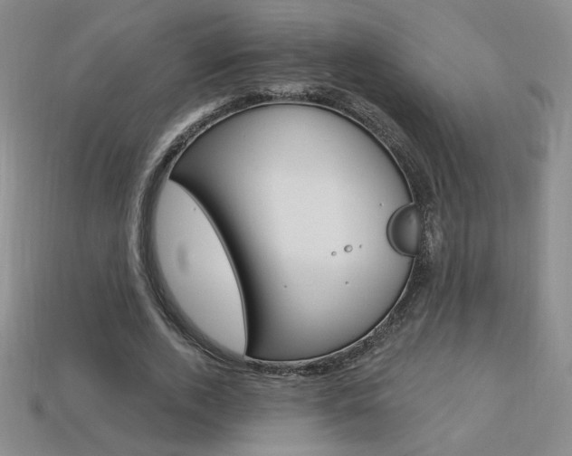 X0000114200728200910091048