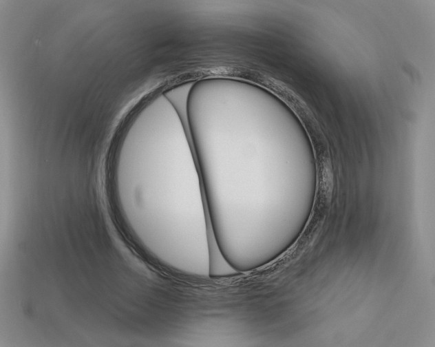 X0000114200730200910091048