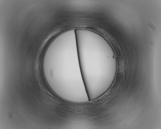 X0000114200731200910091048