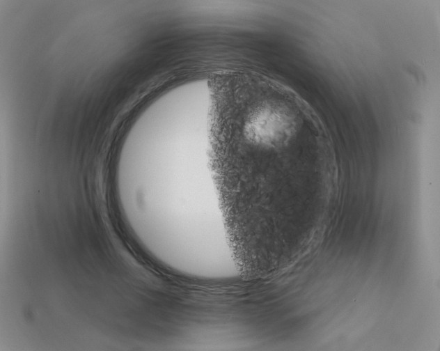 X0000114200734200910091048