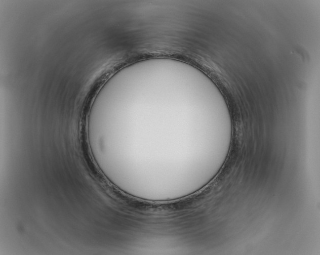 X0000114200735200910091048