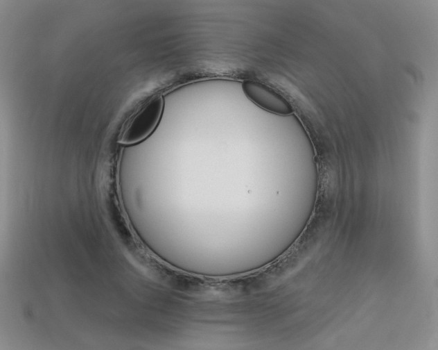X0000114200736200910091048