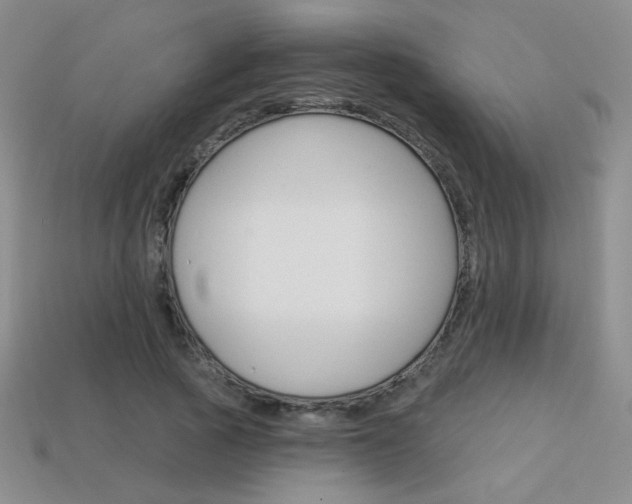 X0000114200737200910091048