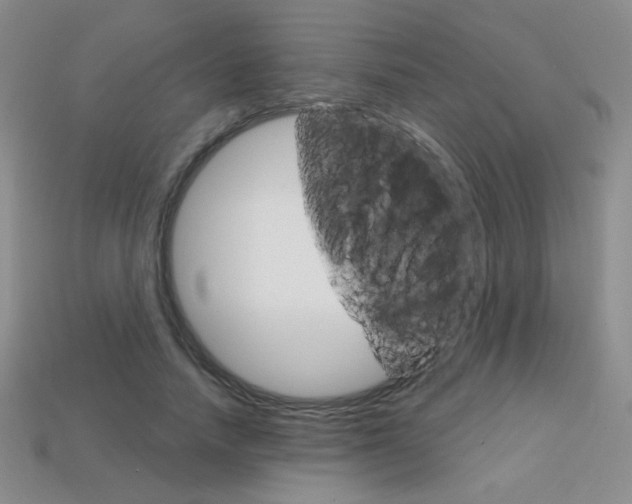 X0000114200738200910091048