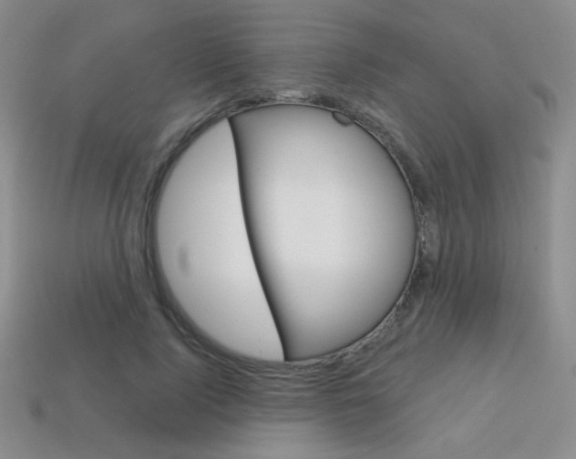 X0000114200740200910091048