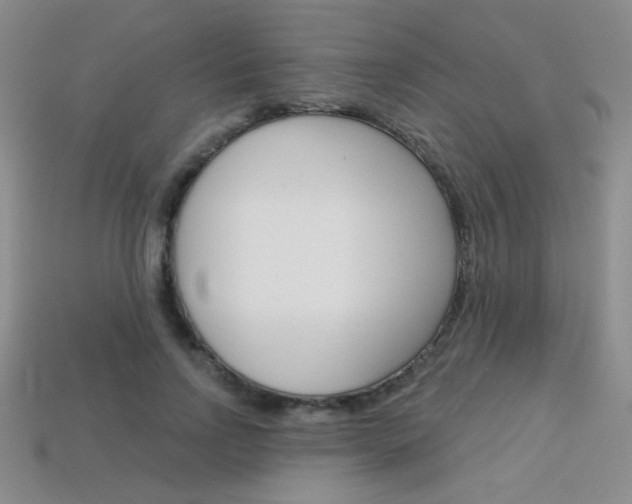 X0000114200742200910091048