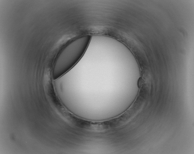 X0000114200744200910091048