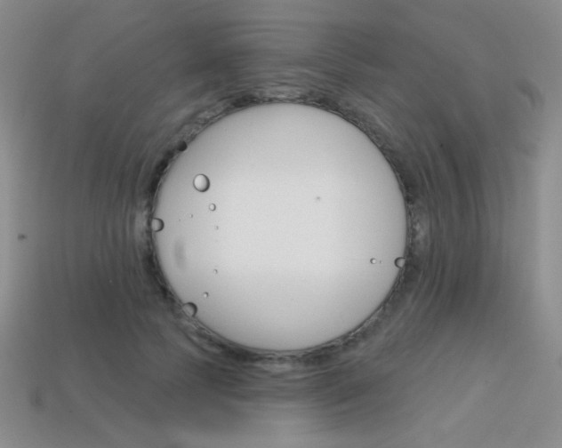 X0000114200745200910091048