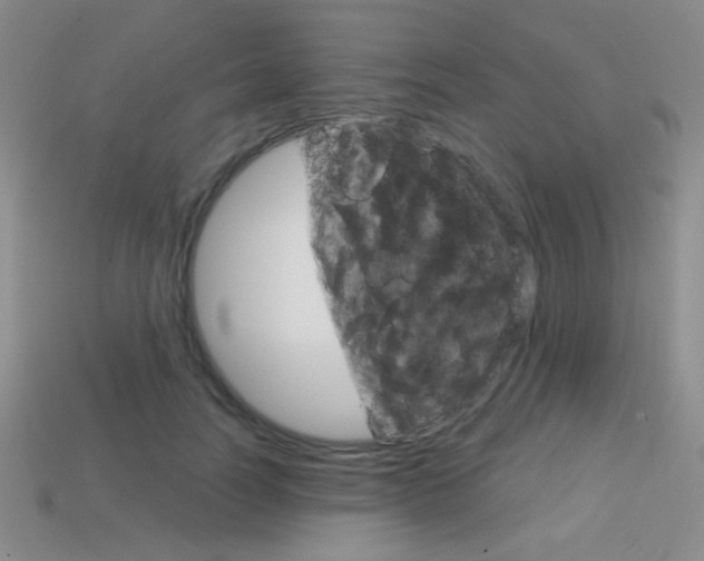 X0000114200746200910091048