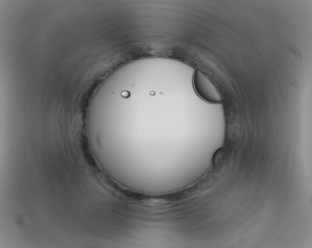 X0000114200748200910091048