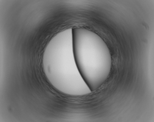 X0000114200752200910091048