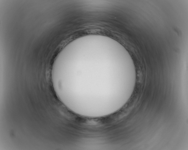 X0000114200753200910091048