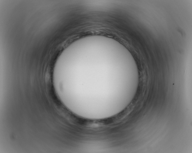 X0000114200754200910091048