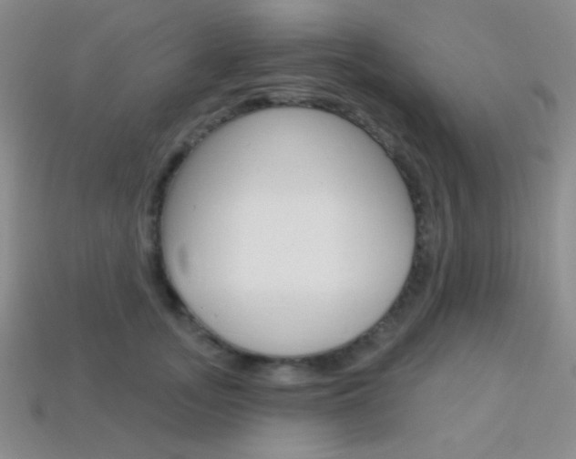 X0000114200755200910091048