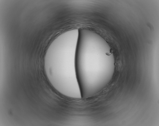 X0000114200756200910091048