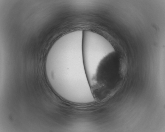 X0000114200758200910091048
