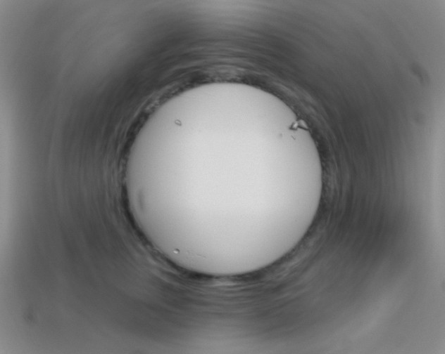 X0000114200759200910091048