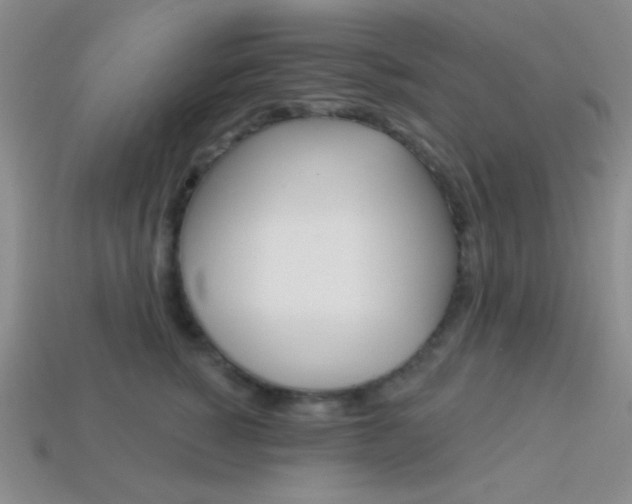 X0000114200760200910091048