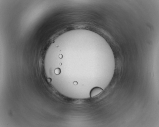 X0000114200761200910091048