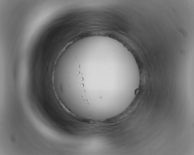 X0000114200764200910091048