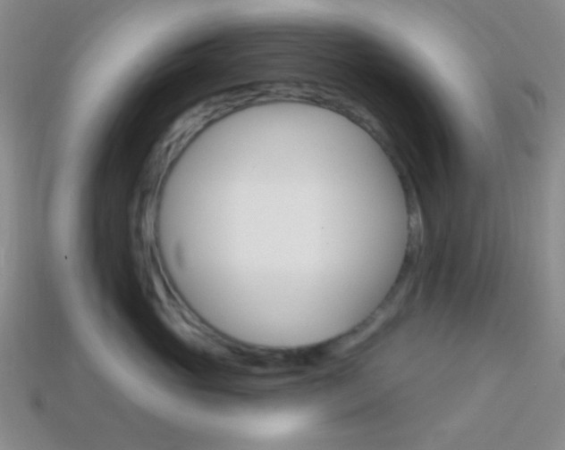 X0000114200765200910091048