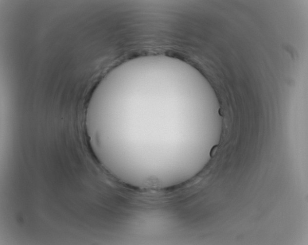 X0000114200768200910091048