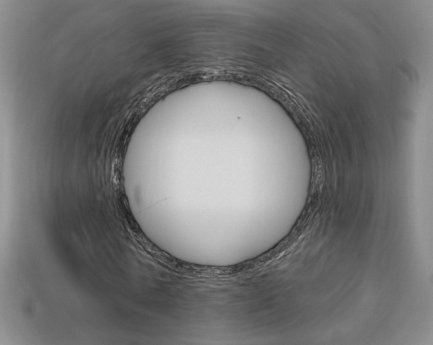 X0000114200770200910091048