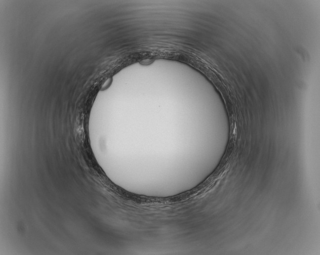 X0000114200771200910091048